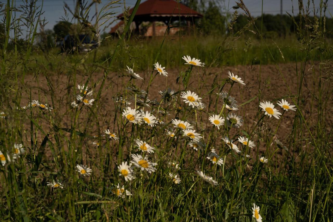 Rustykalne Klimaty Villa Majdan Zbydniowski Kültér fotó